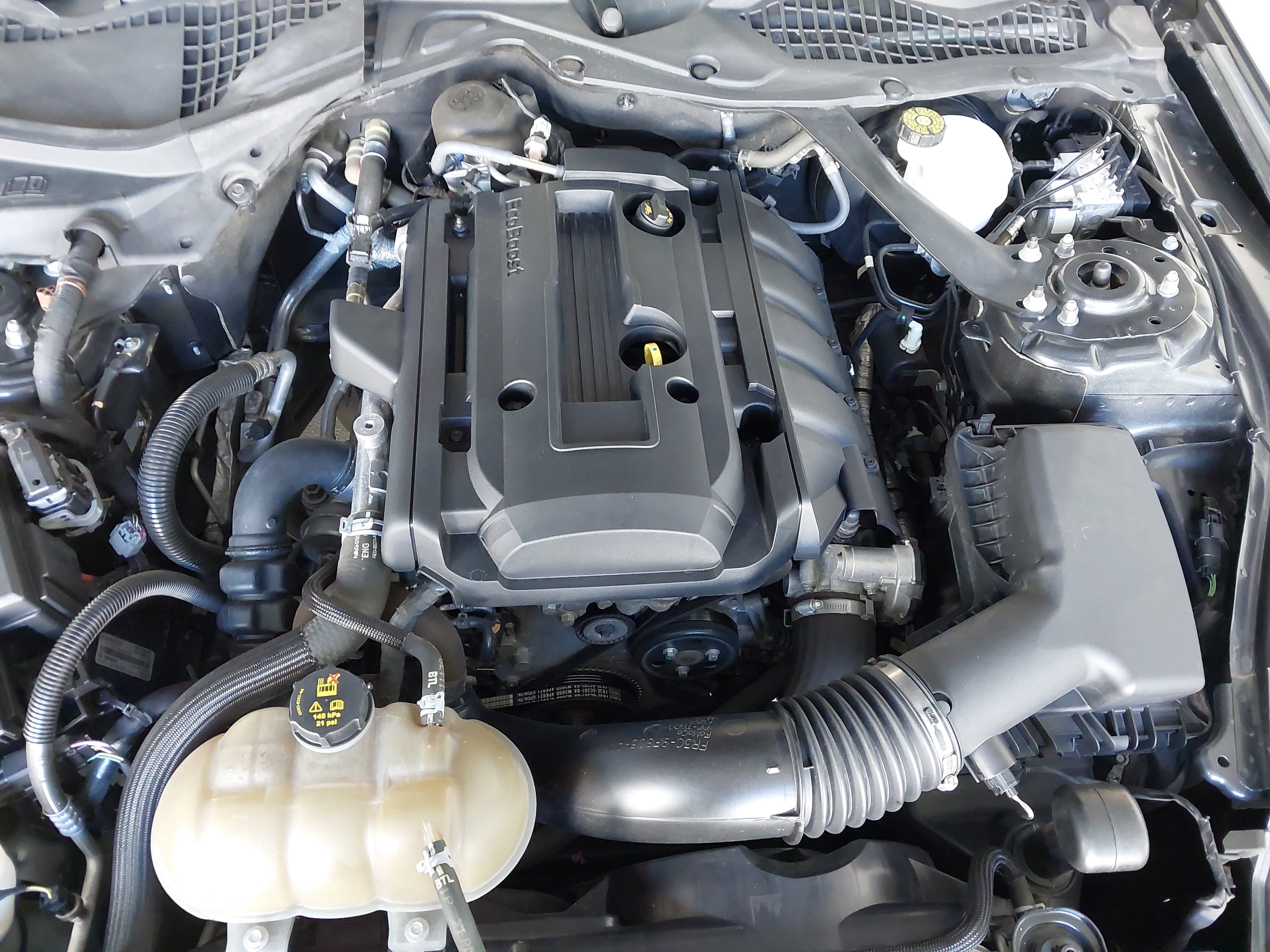 2019 Ford Mustang EcoBoost Premium