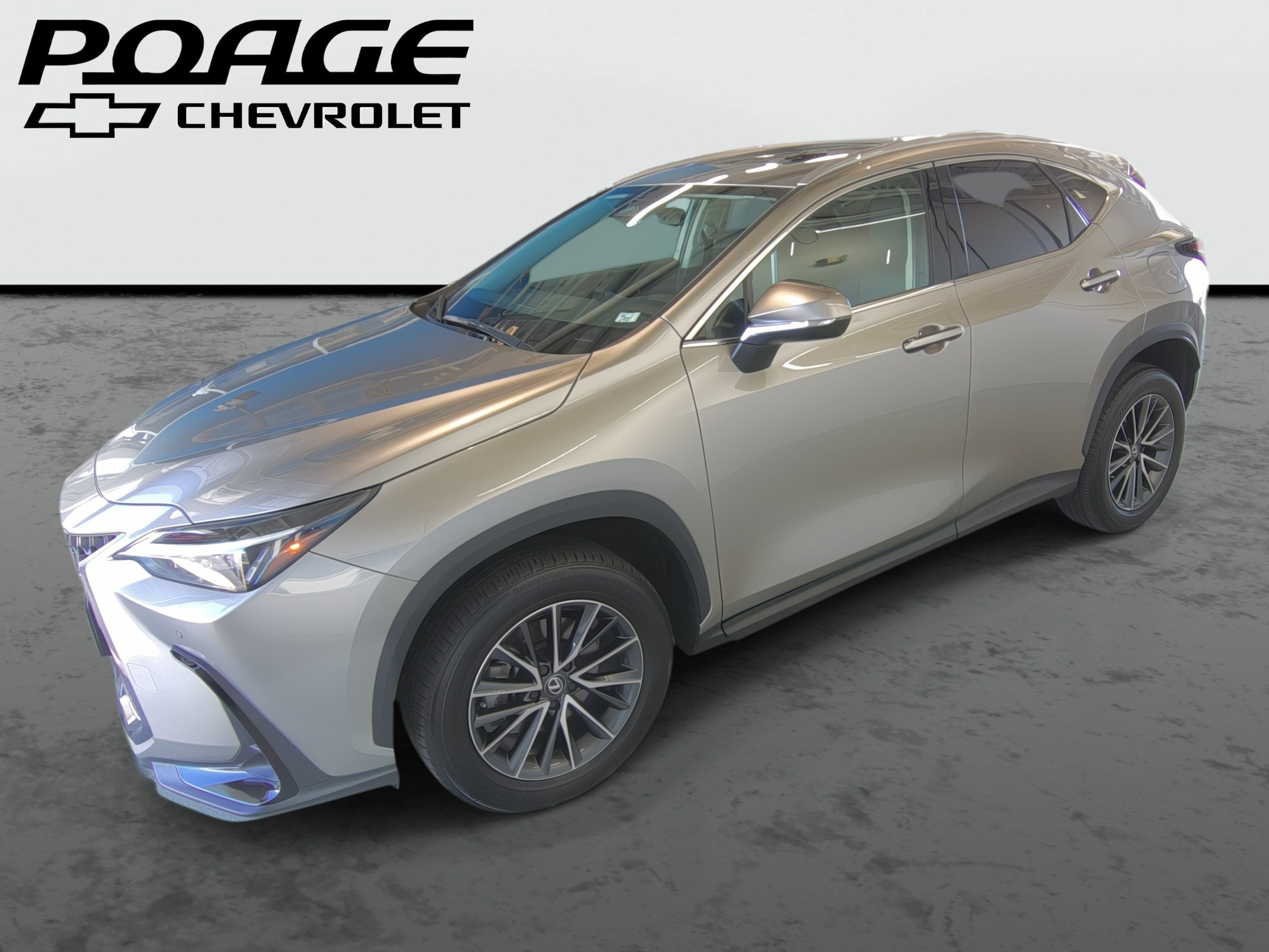 2025 Lexus NX 350 NX 350