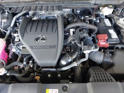 2025 Lexus NX 350 NX 350