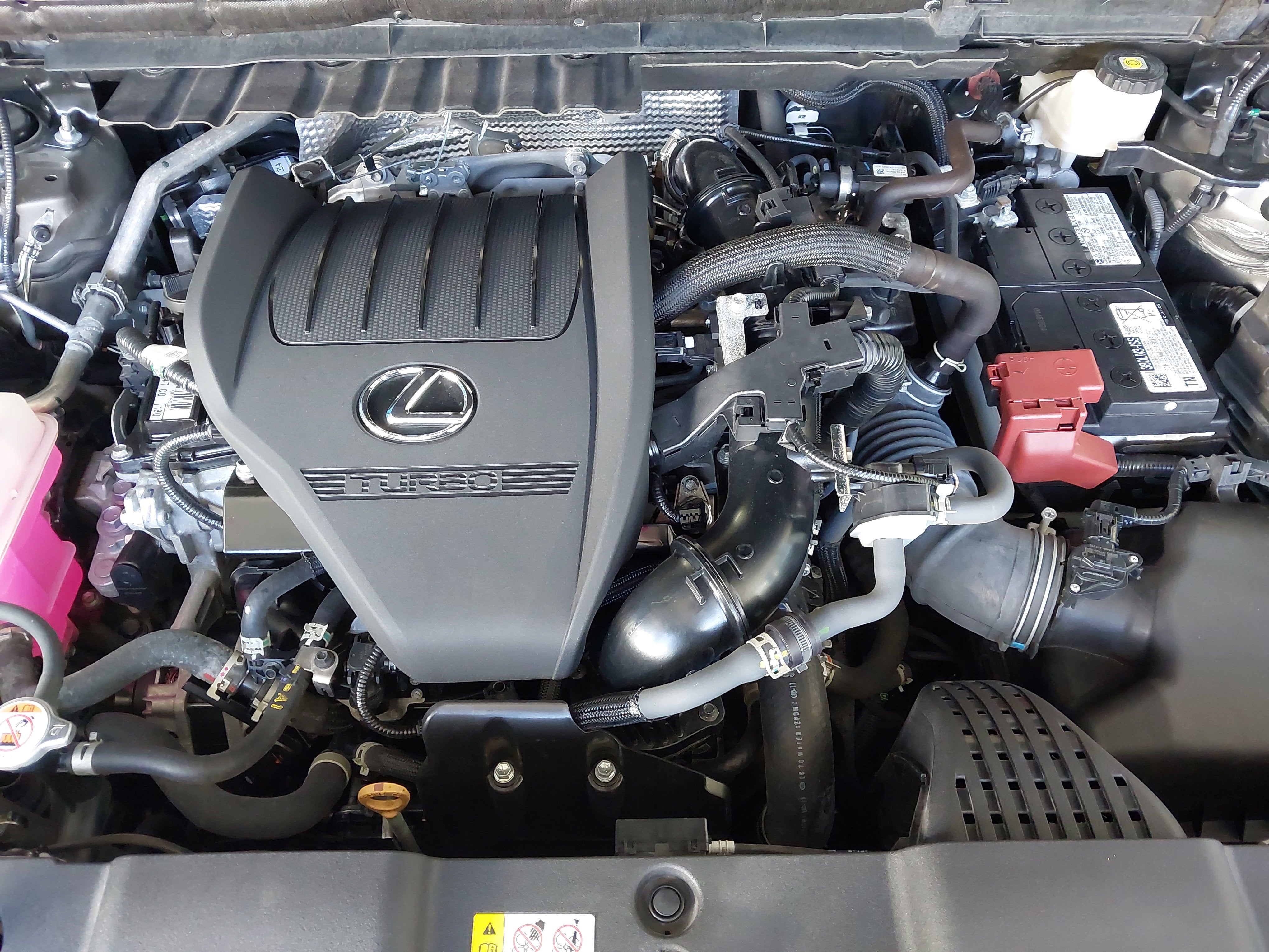 2025 Lexus NX 350 NX 350
