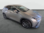 2025 Lexus NX 350 NX 350