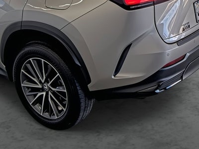 2025 Lexus NX 350 NX 350