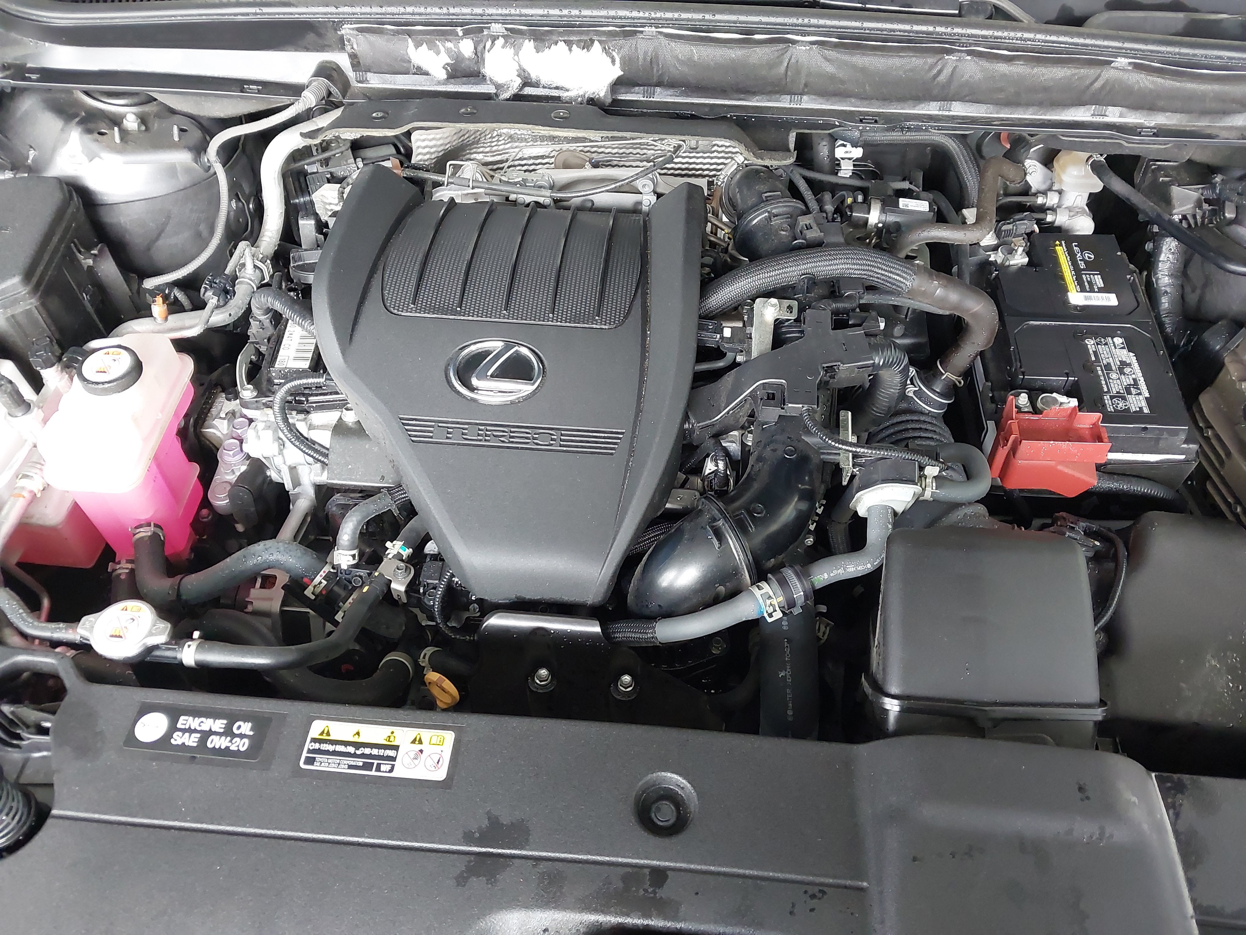 2023 Lexus RX 350 Premium Plus